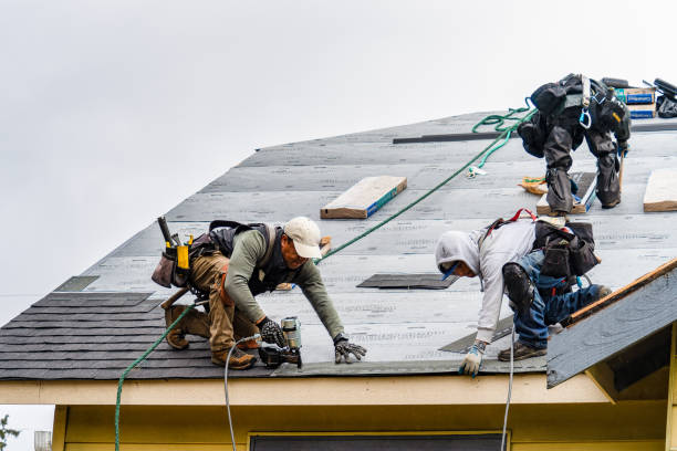 Professional Roofing technician working in Linden, TN